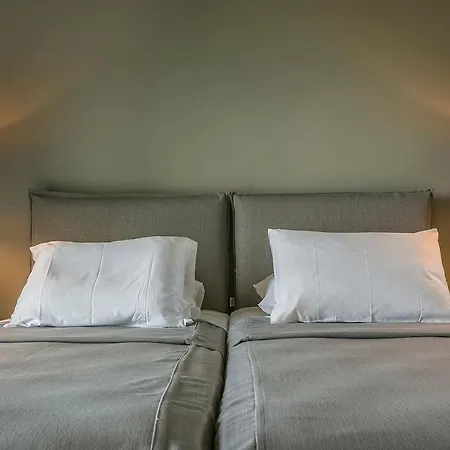 Begonia Vila Skala (Kefalonia)